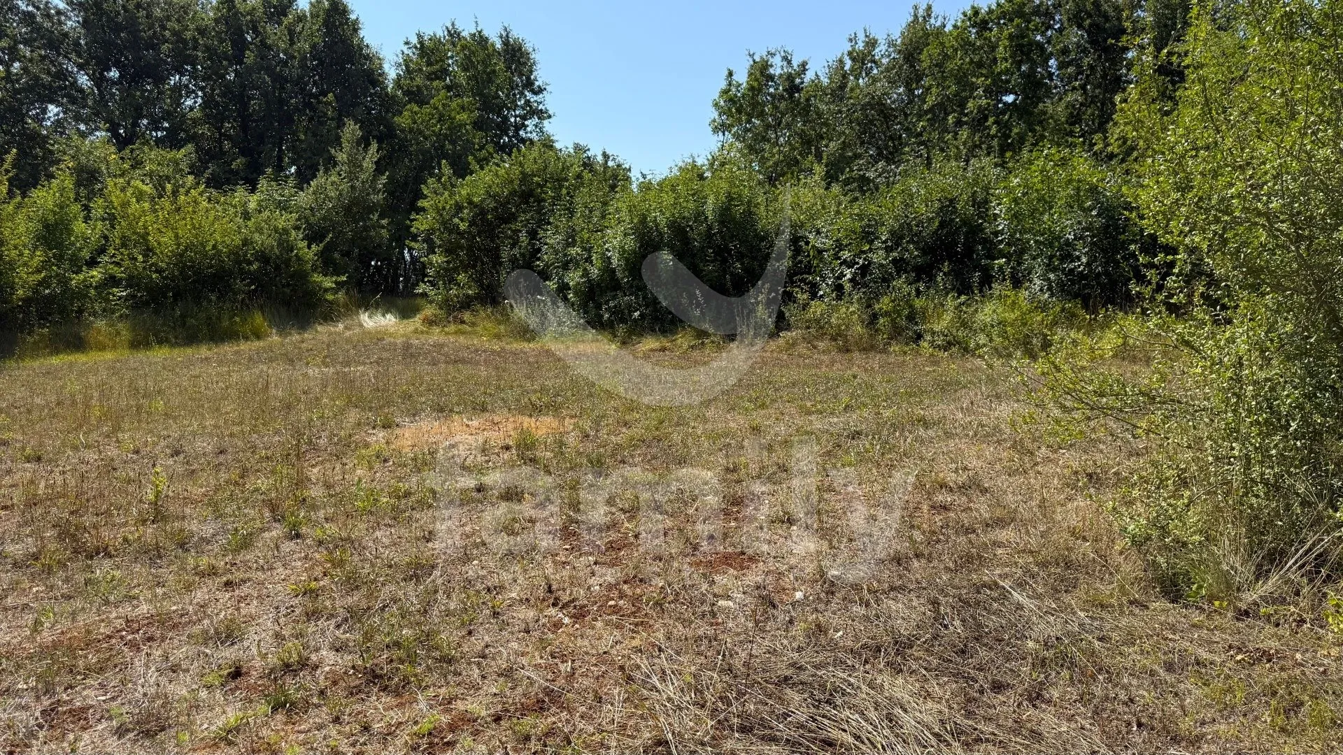 prodaja više poljoprivrednih zemljišta vodnjan - slika 3