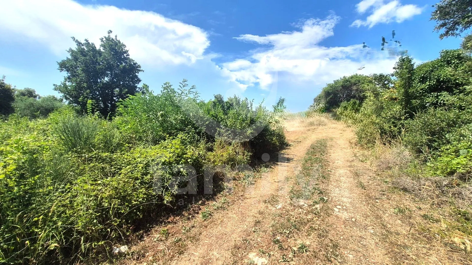 prodaja poljoprivrednog zemljišta nedaleko od naselja - slika 3