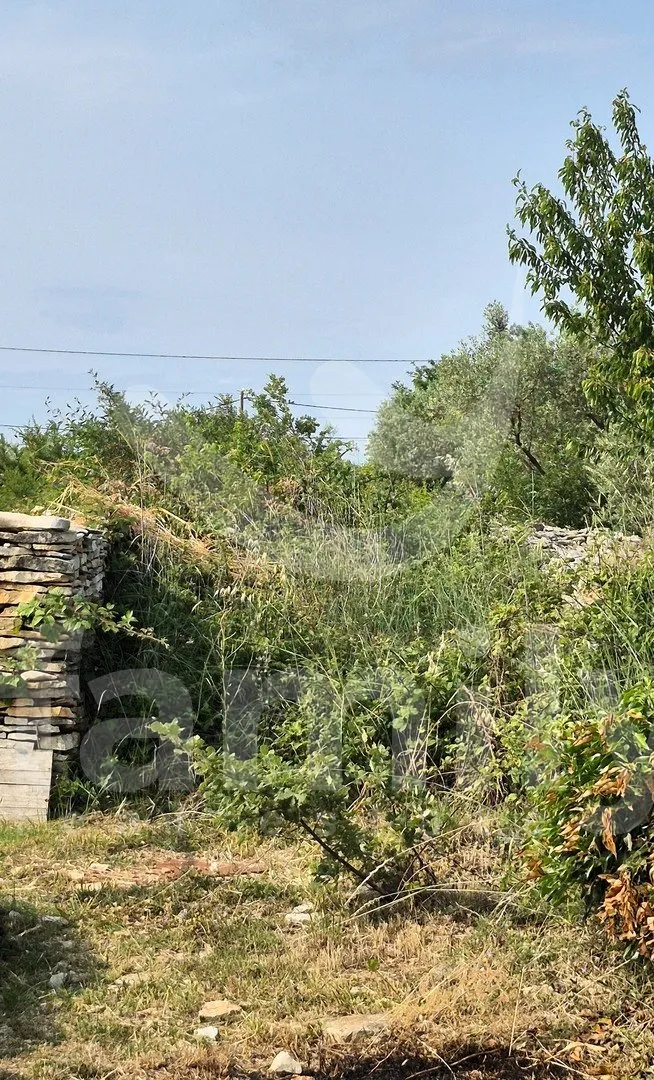 zemljište na mirnoj lokaciji okruženo maslinicima - slika 4
