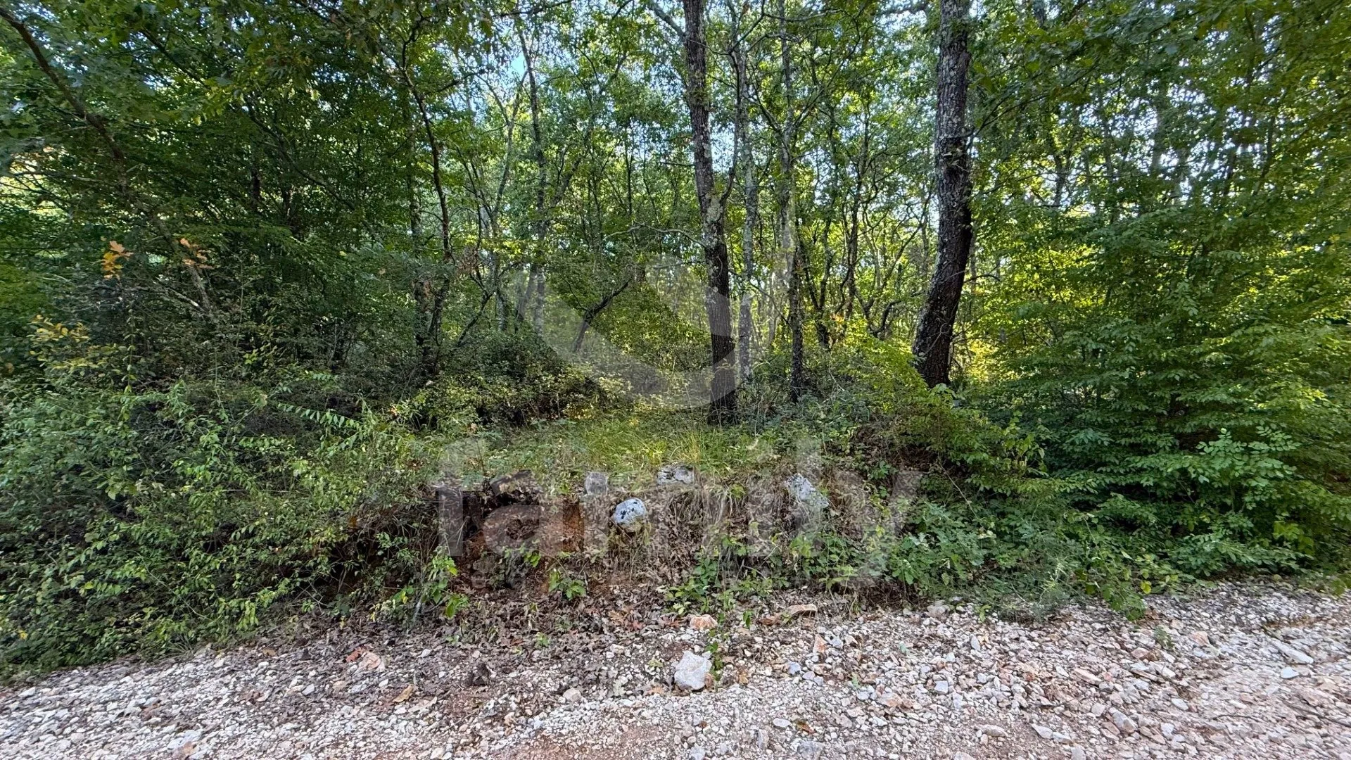 prodaja poljoprivredno zemljište šuma vodnjan - slika 2