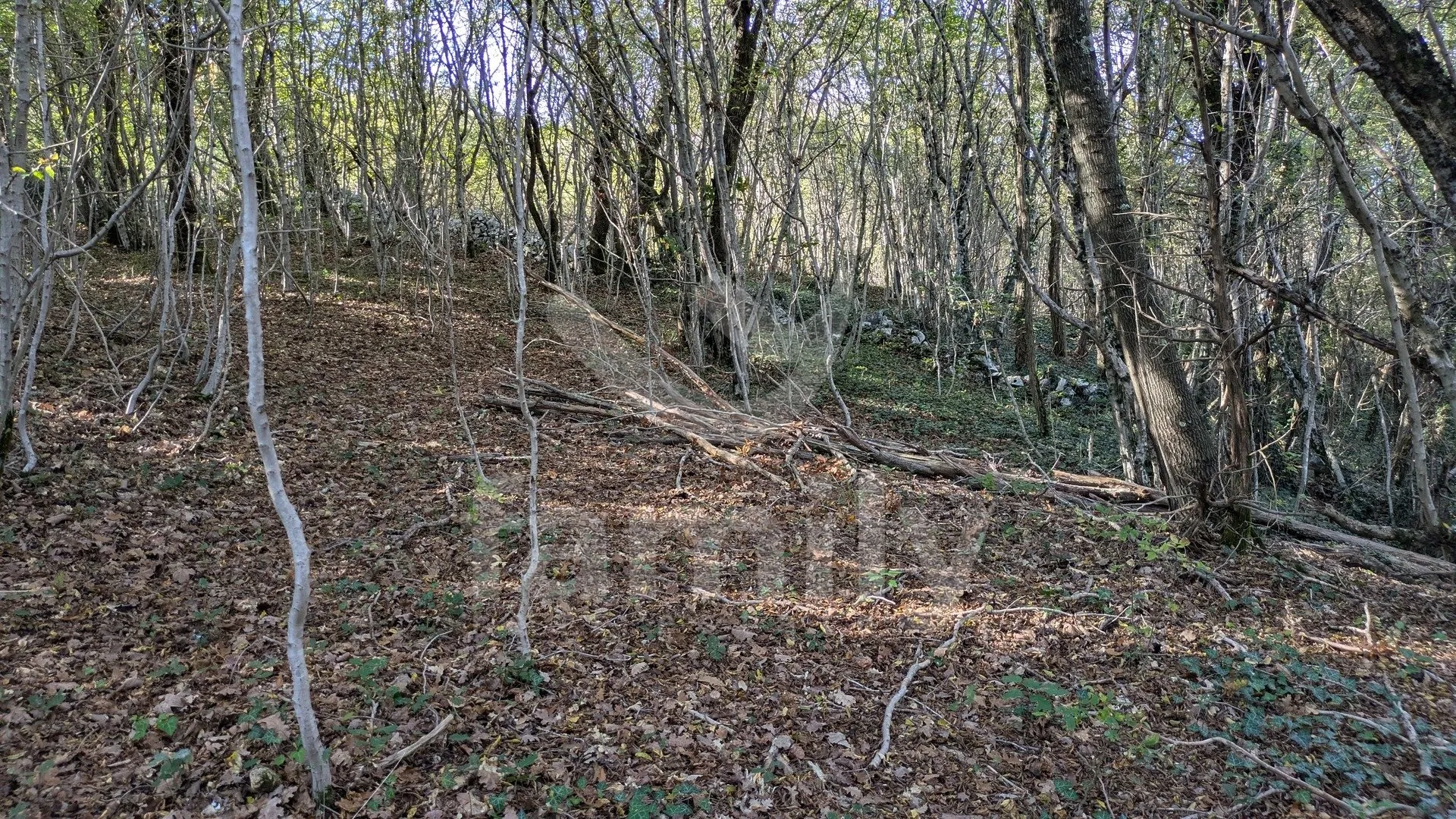 atraktivno i veliko poljoprivredno zemljište sa širokim pristupnim putem - slika 5