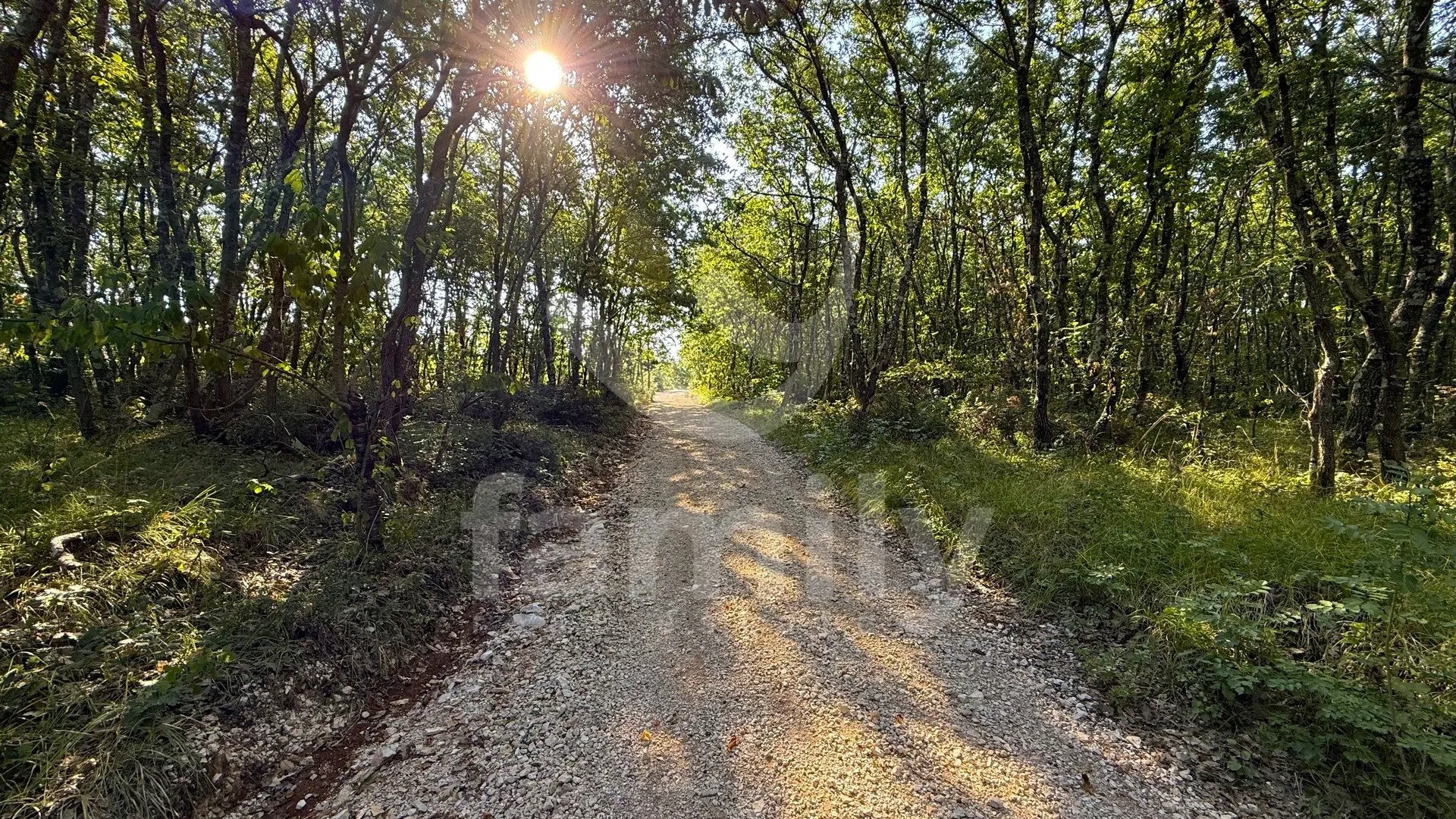 prodaja poljoprivredno zemljište šuma vodnjan - slika 2