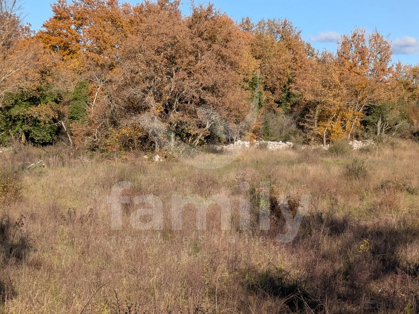 odlično poljoprivredno zemljište sa pristupnim putem - slika 4
