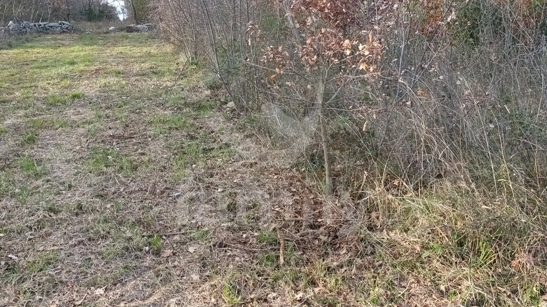 atraktivno građevinsko zemljište sa građevinskom dozvolom - slika 4