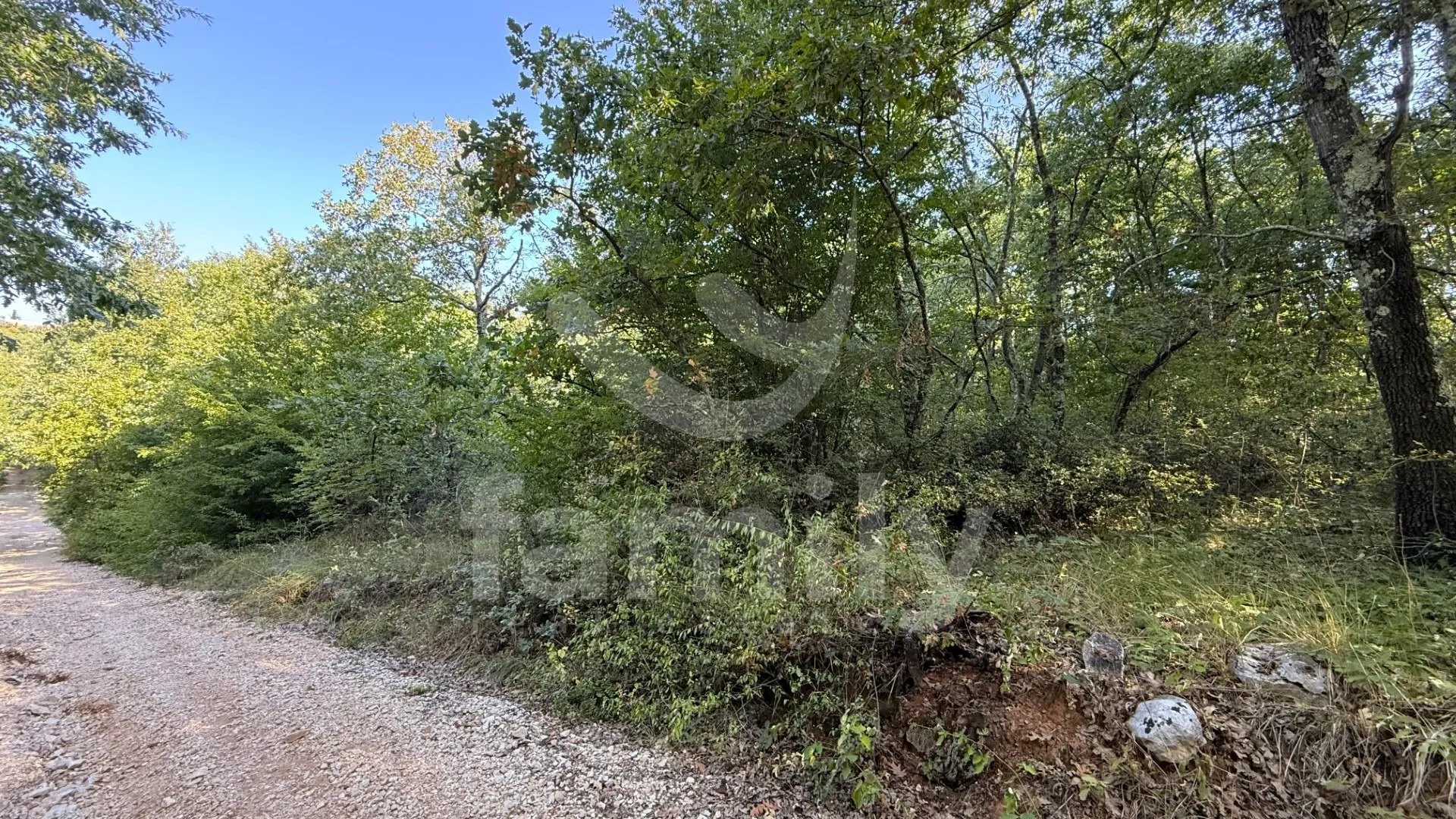 prodaja poljoprivredno zemljište šuma vodnjan - slika 7