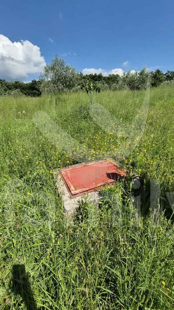 prostrano zemljište sa maslinikom, voćkama i vodom na parceli - slika 10