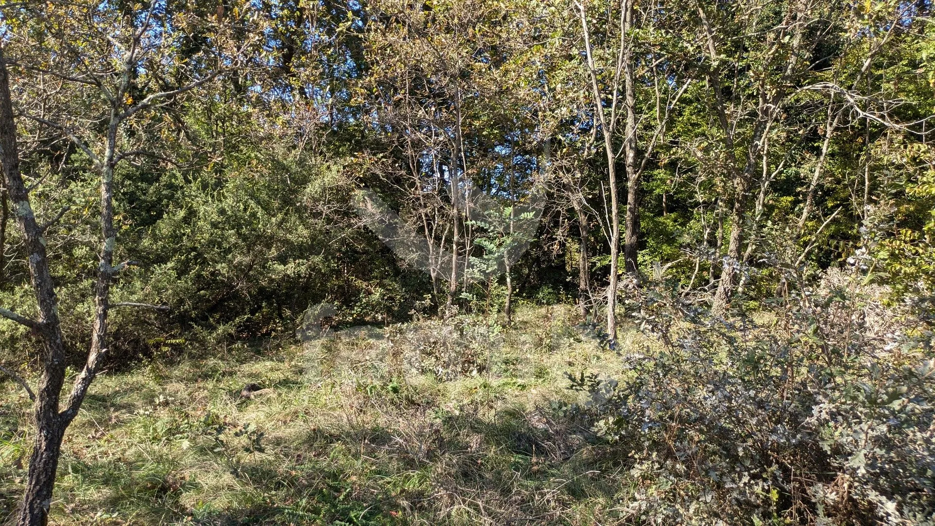 atraktivno i veliko poljoprivredno zemljište sa širokim pristupnim putem - slika 2