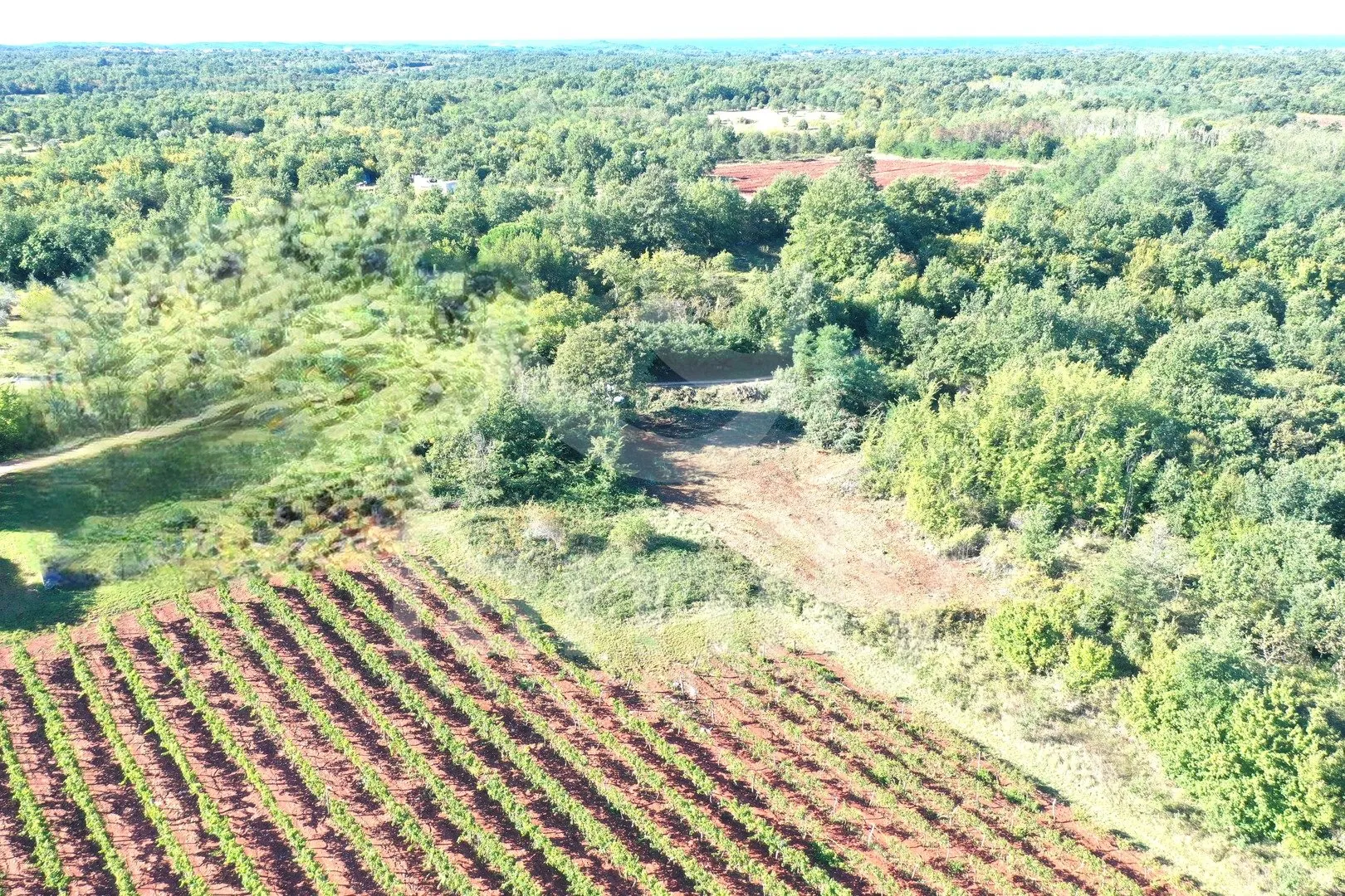 atraktivno građevinsko zemljište sa pogledom na vinograde - slika 8
