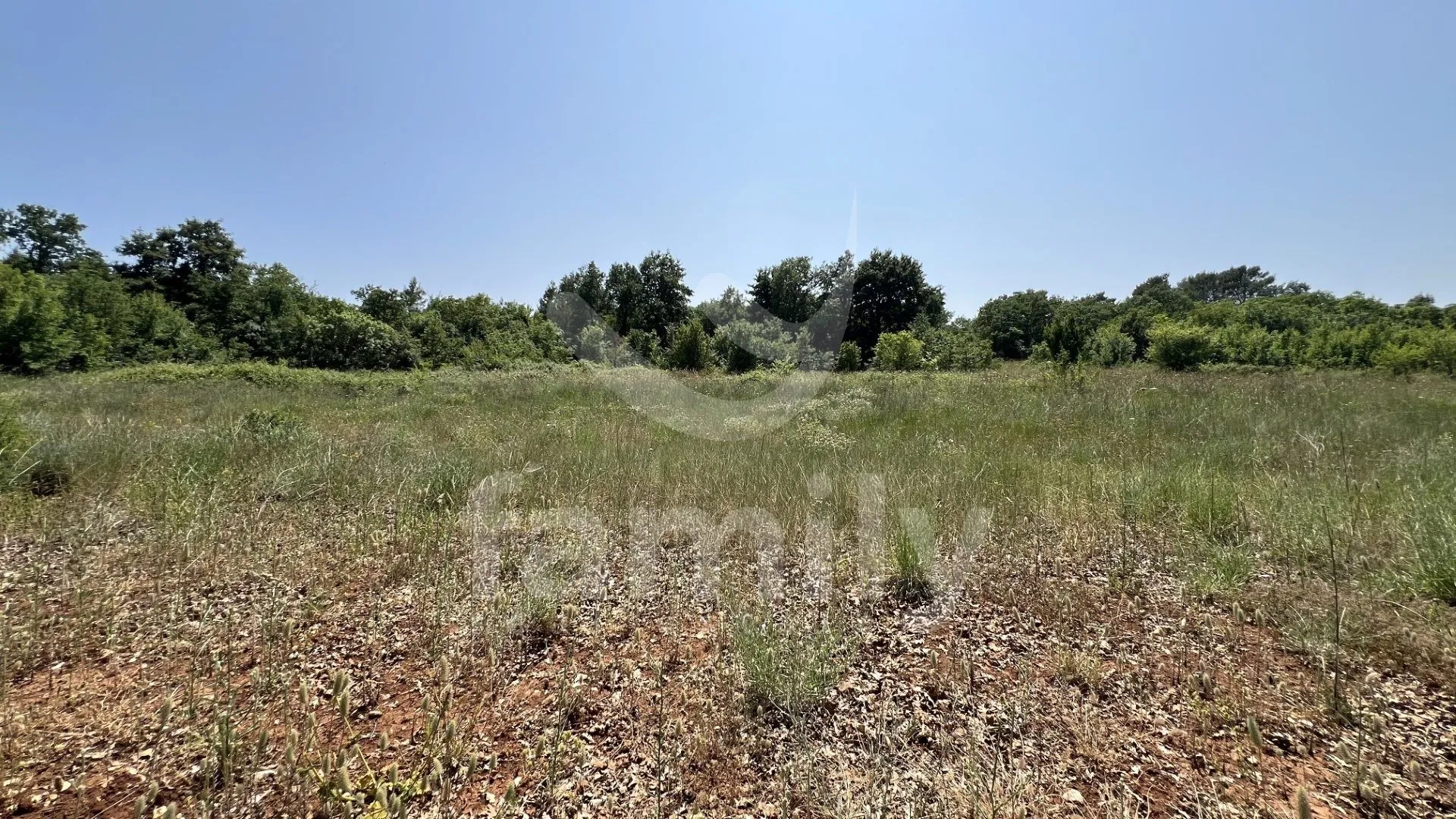 ekskluzivno iznimno prostrana šuma u krnici - slika 3