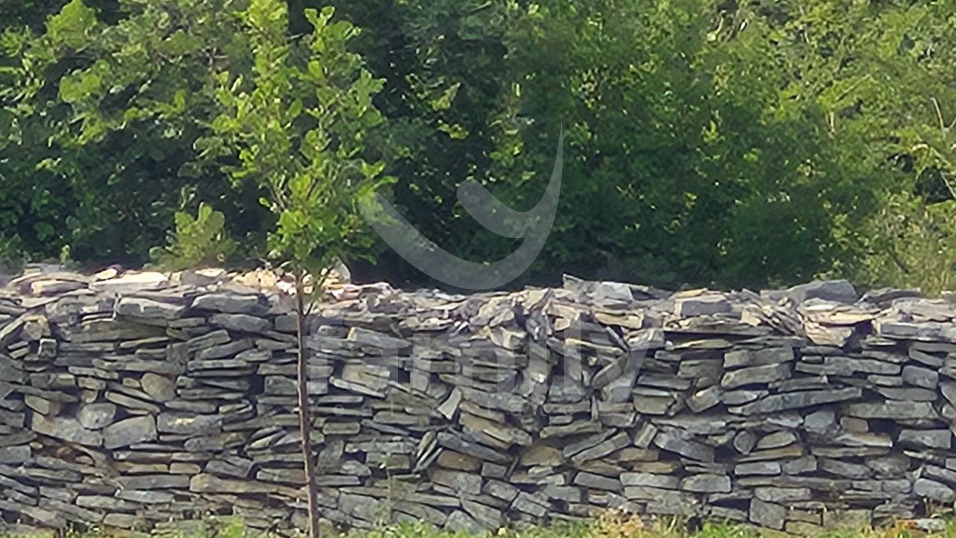 zemljište na mirnoj lokaciji okruženo maslinicima - slika 2