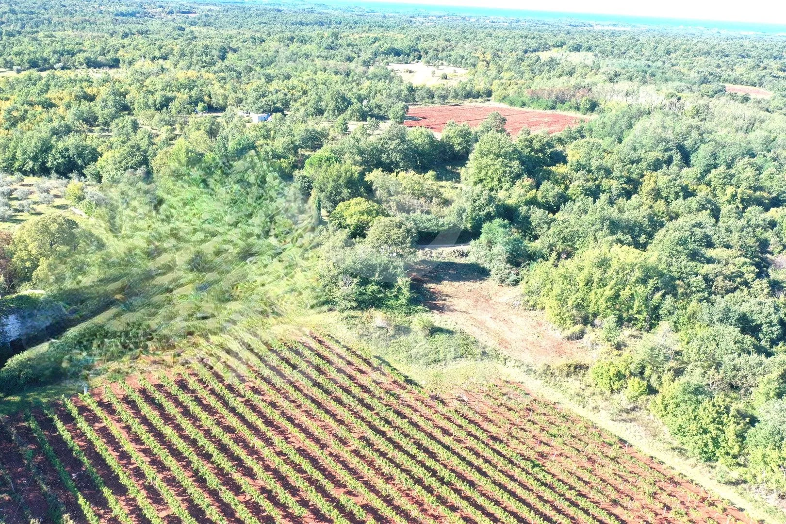 atraktivno građevinsko zemljište sa pogledom na vinograde - slika 7