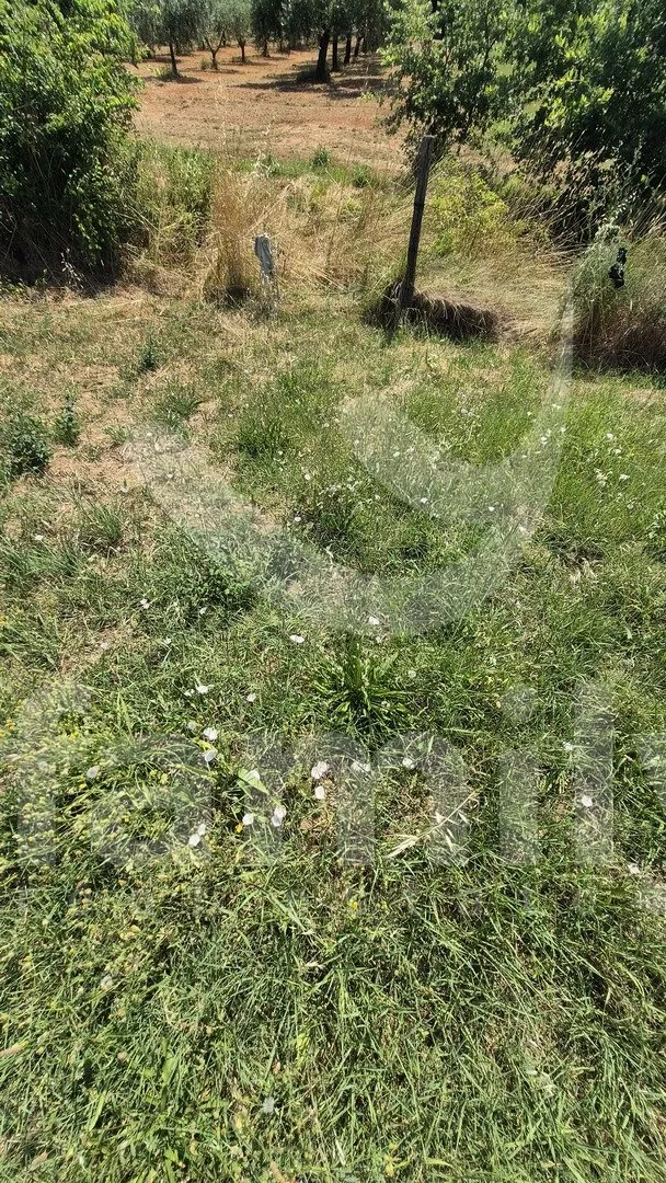 zemljište na mirnoj lokaciji - slika 4