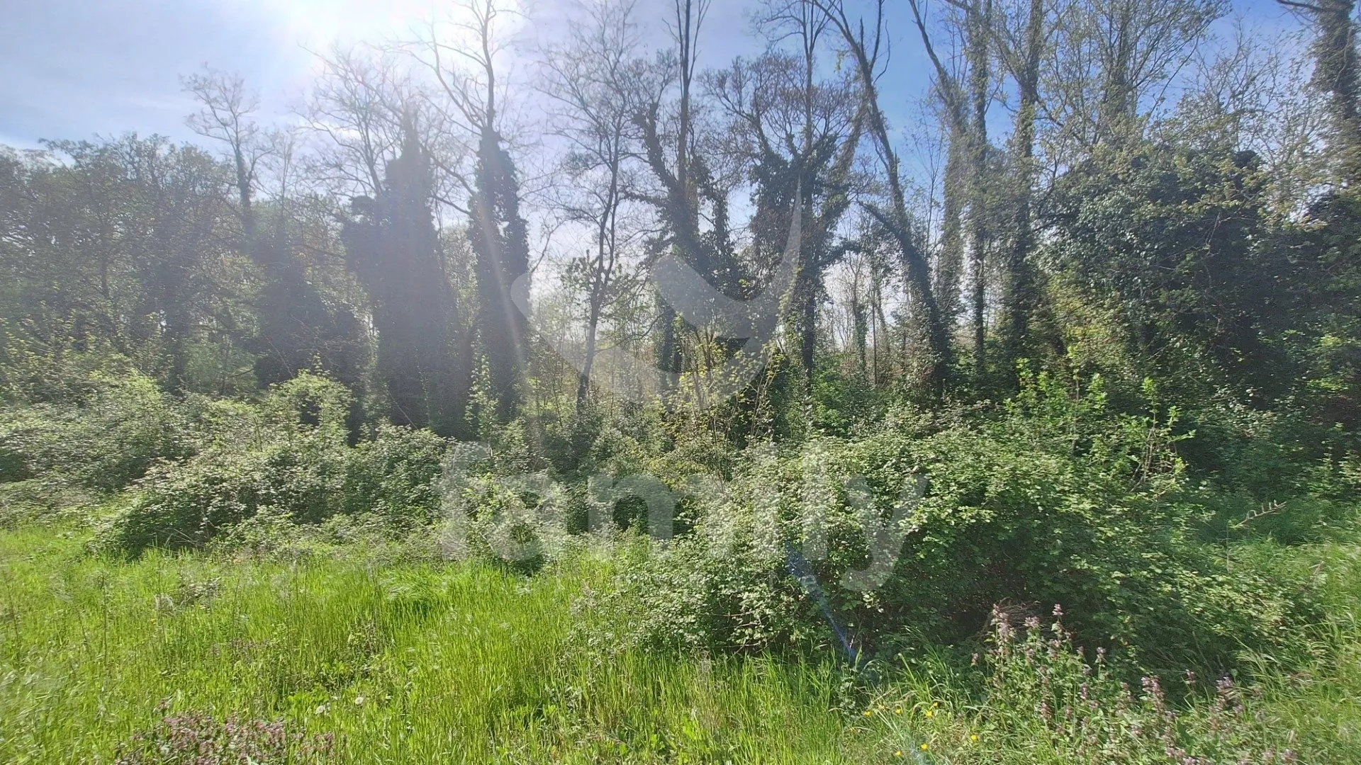 prodaja atraktivnog građevinskog zemljišta sa izrađenim projektom - slika 12