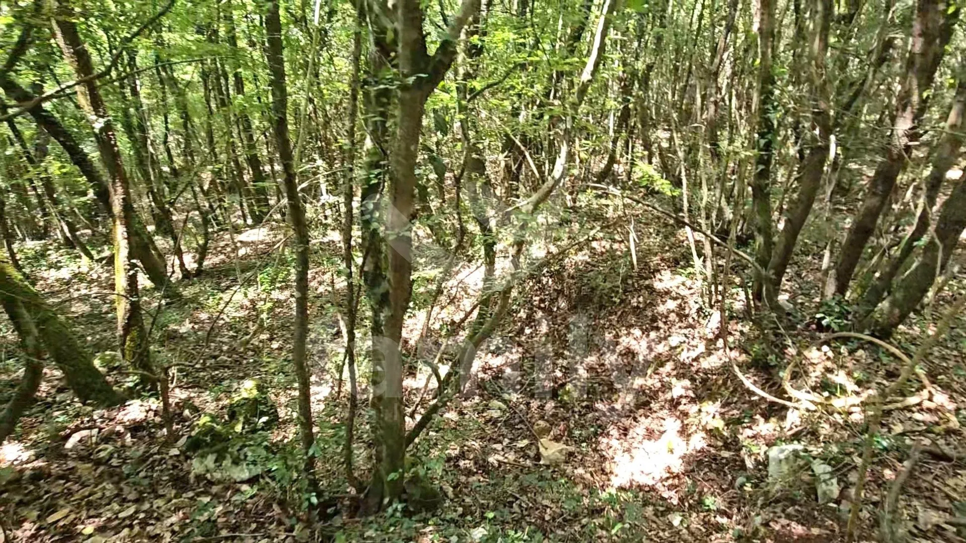 Prodaja Prostranog Poljoprivrednog Zemljišta U Krnici - Krnica, Marčana