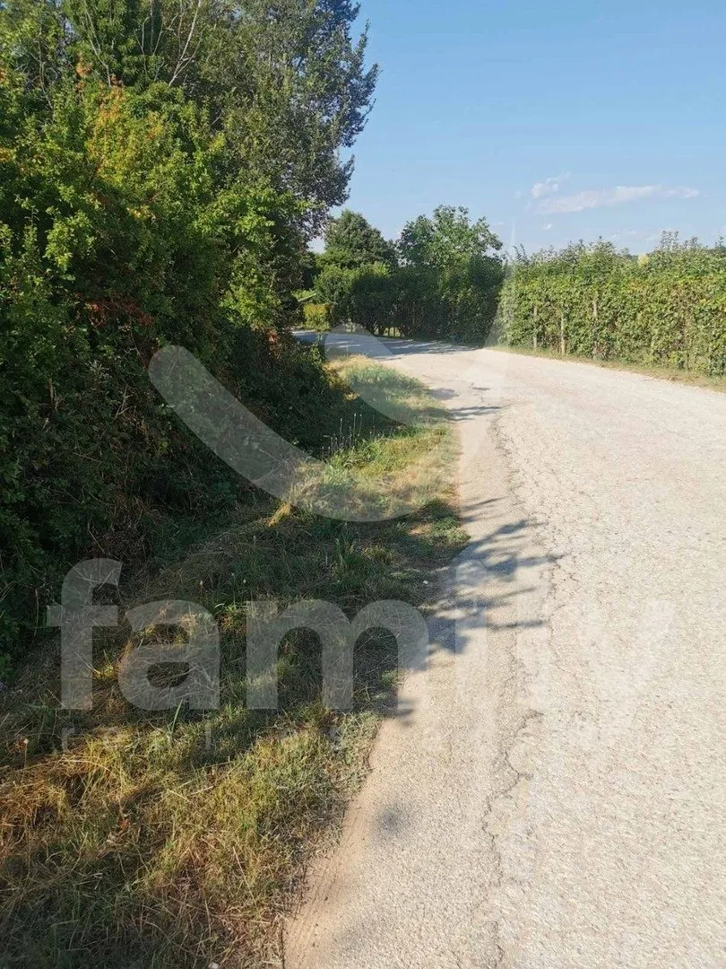 Prostrano Poljoprivredno Zemljište Uz Asfaltiranu Cestu - Bralići, Vrsar