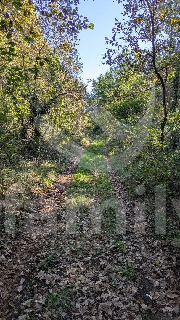 Atraktivno I Veliko Poljoprivredno Zemljište Sa Širokim Pristupnim Putem - Sveti Martin, Sveta Nedelja