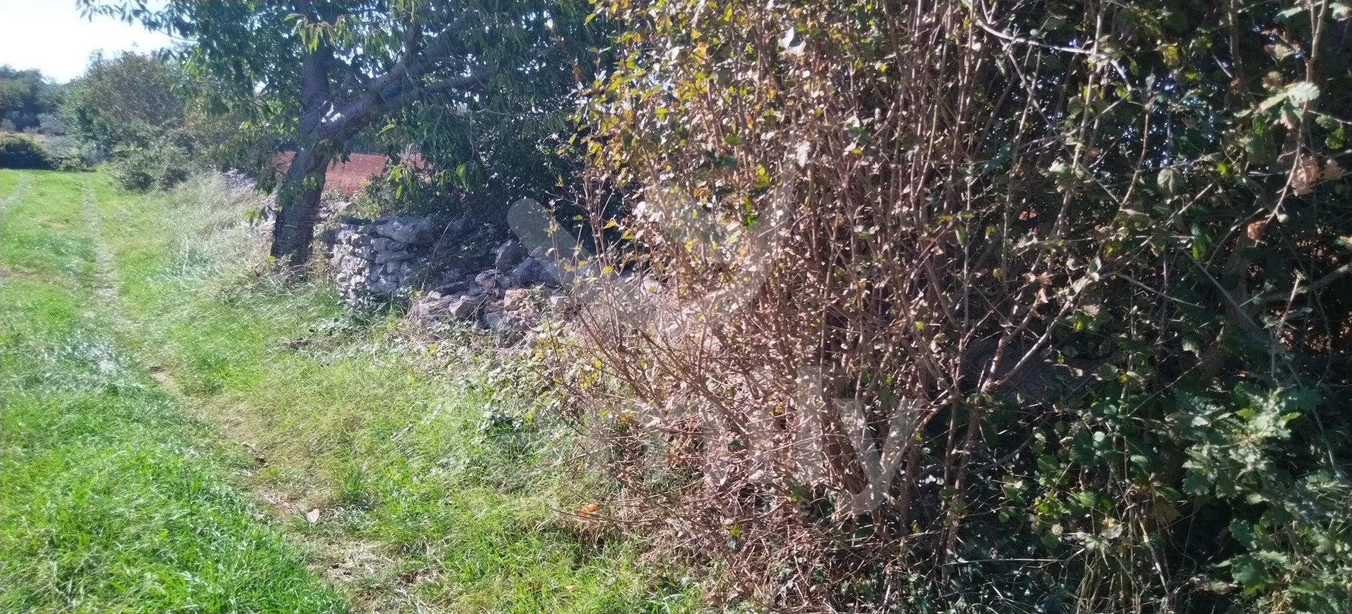 lijepo poljoprivredno zemljište u blizini vodnjana - slika 6