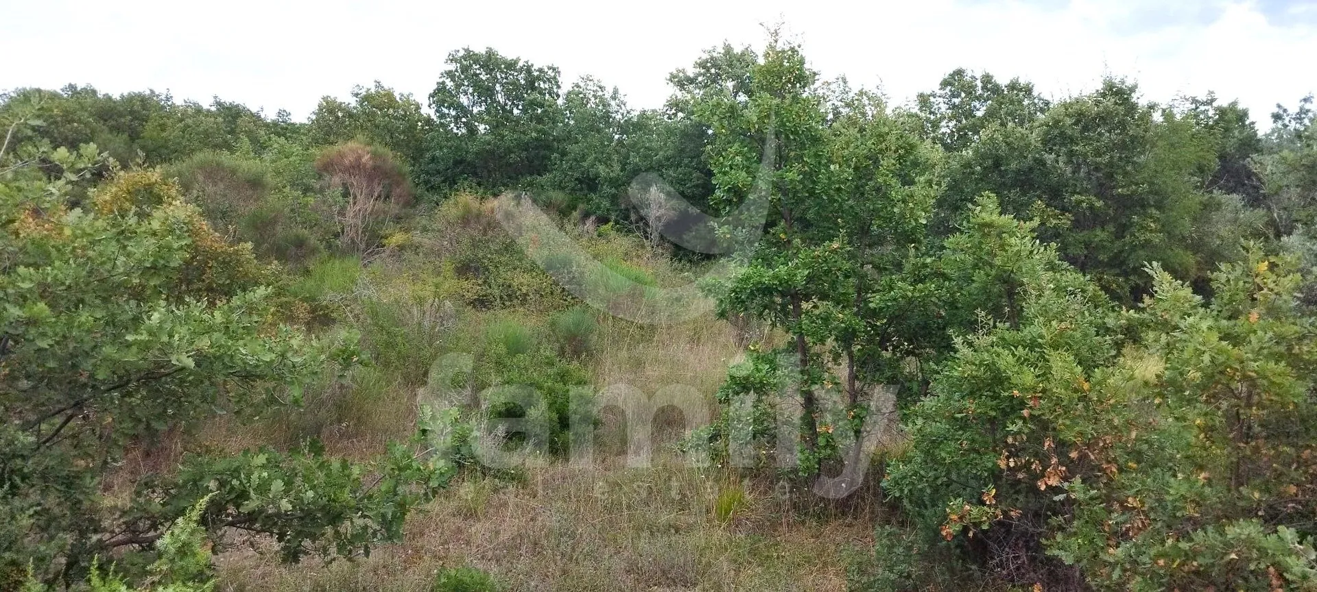 poljoprivredna parcela na brdašcu - slika 3