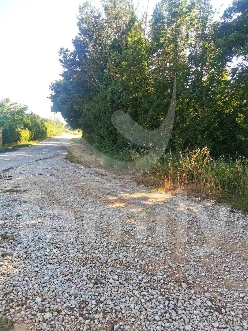 prostrano poljoprivredno zemljište uz asfaltiranu cestu - slika 2