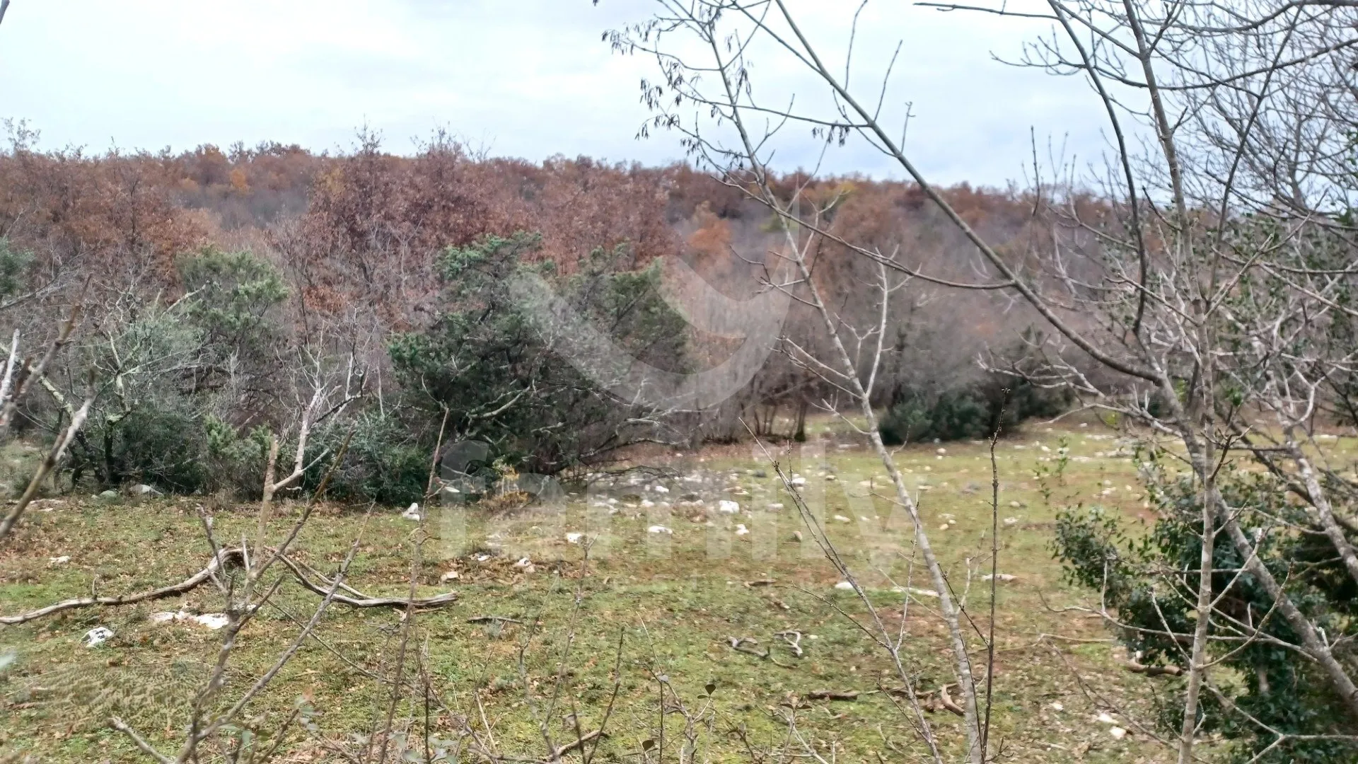 poljoprivredno zemljište nedaleko od grada vodnjana - slika 4