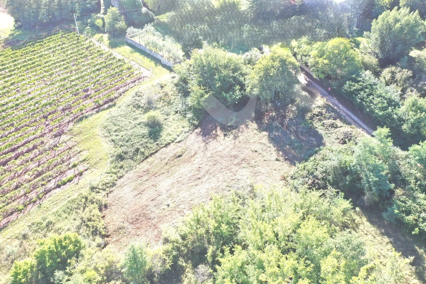 atraktivno građevinsko zemljište sa pogledom na vinograde - slika 3