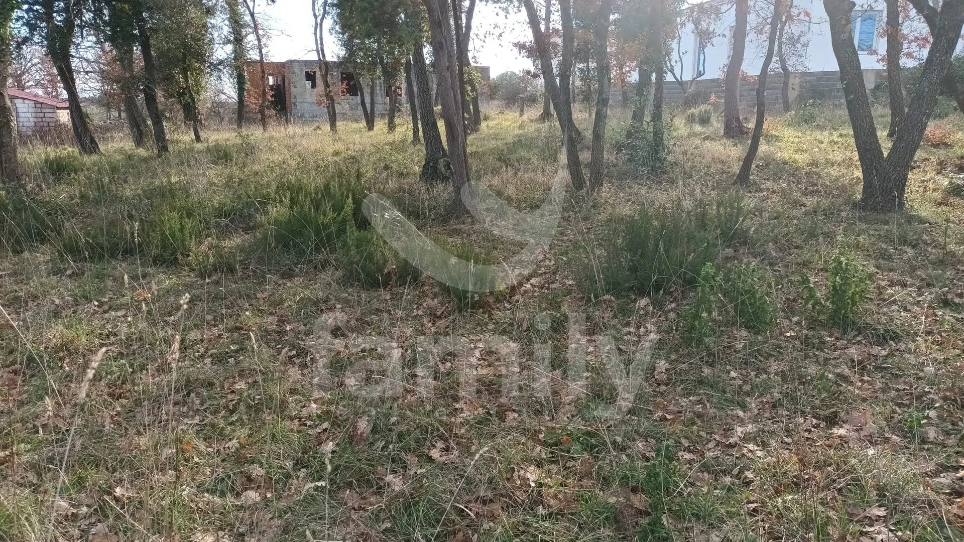 prilika - prostrano zemljište sa zapanjujućim pogledom na more - slika 3