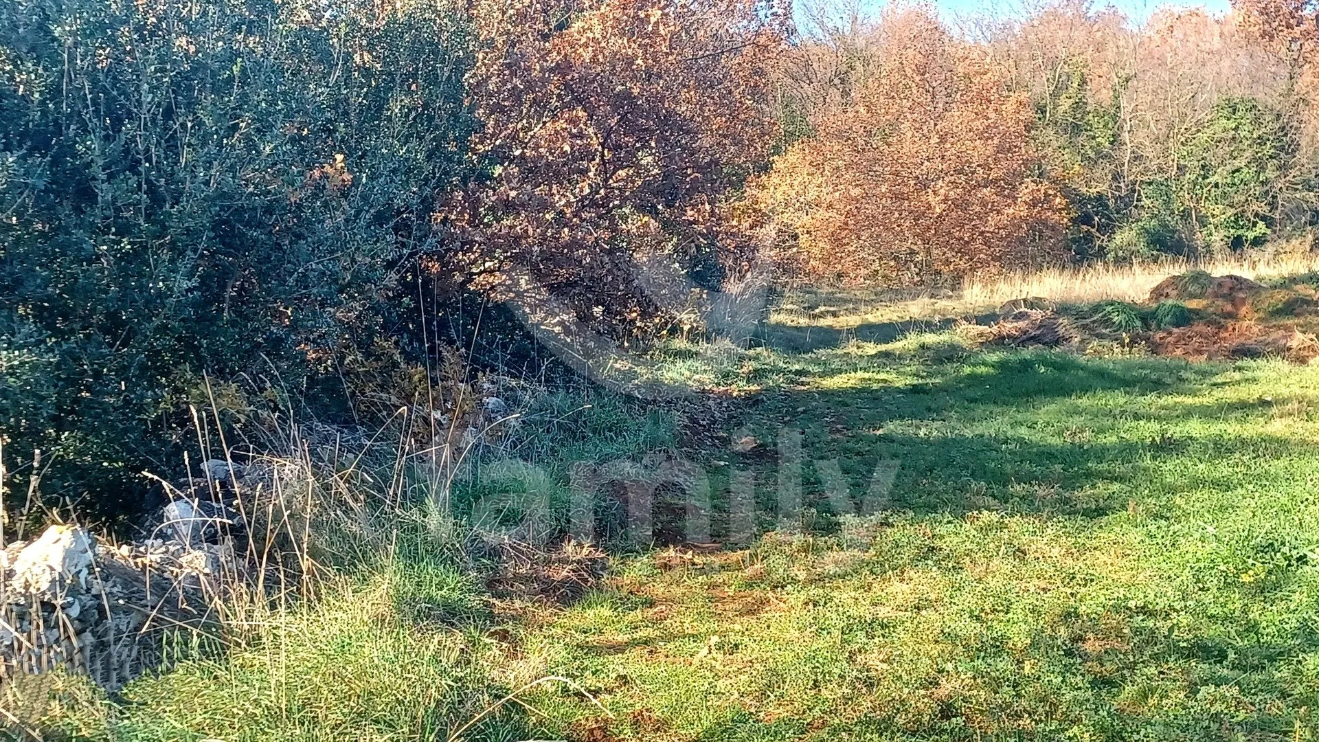 ekskluzivna prodaja prostranog građevinskog zemljišta - slika 2