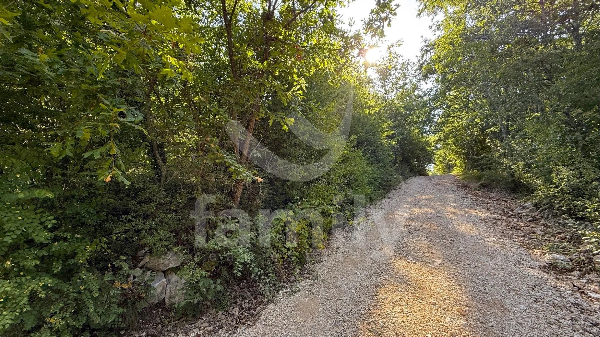 prodaja poljoprivredno zemljište šuma vodnjan - slika 3