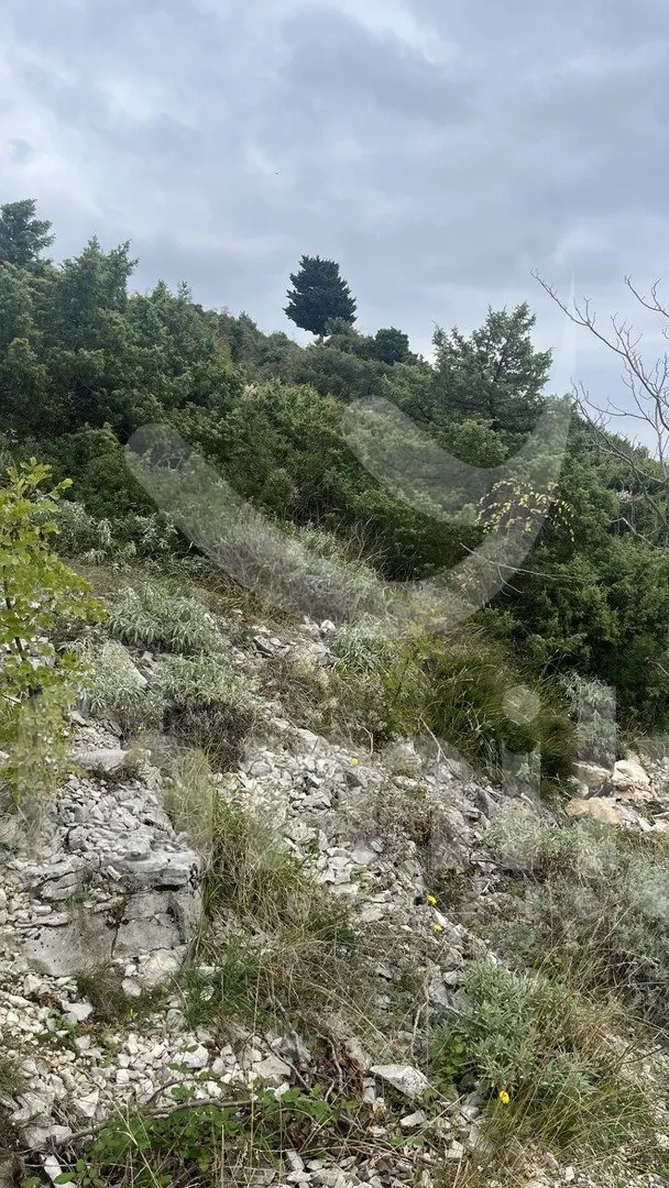 prostrano poljoprivredno zemljište uz obalu - slika 2