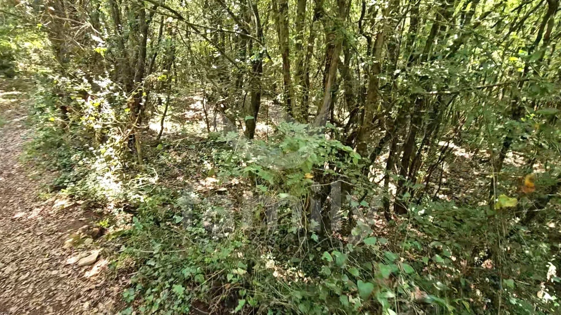 prodaja prostranog poljoprivrednog zemljišta u krnici - slika 5