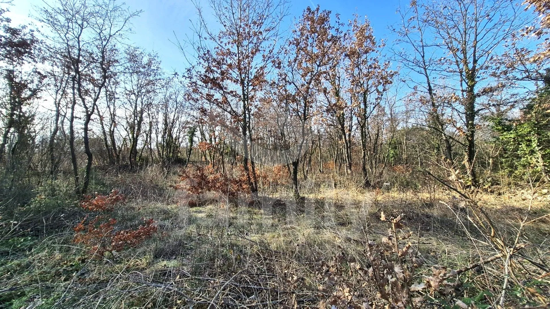 građevinsko zemljište na izuzetno mirnoj i traženoj lokaciji - slika 9