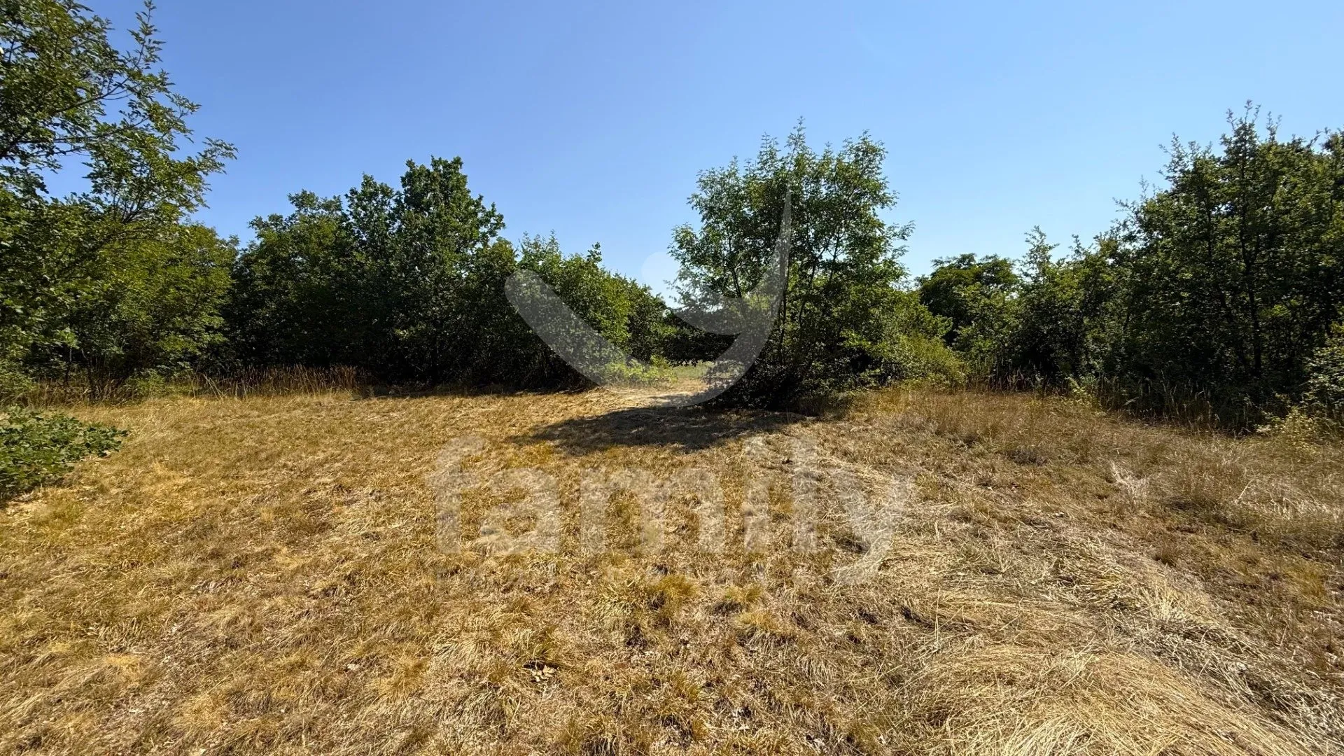 prodaja više poljoprivrednih zemljišta vodnjan - slika 2