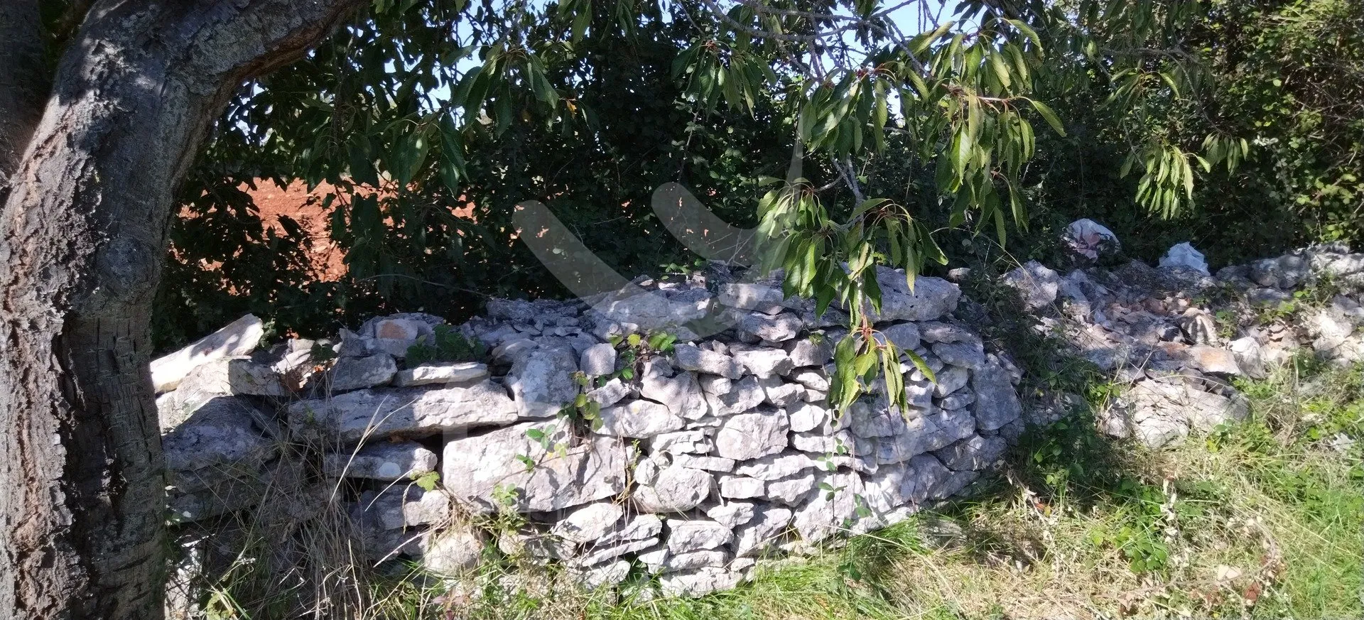 lijepo poljoprivredno zemljište u blizini vodnjana - slika 2