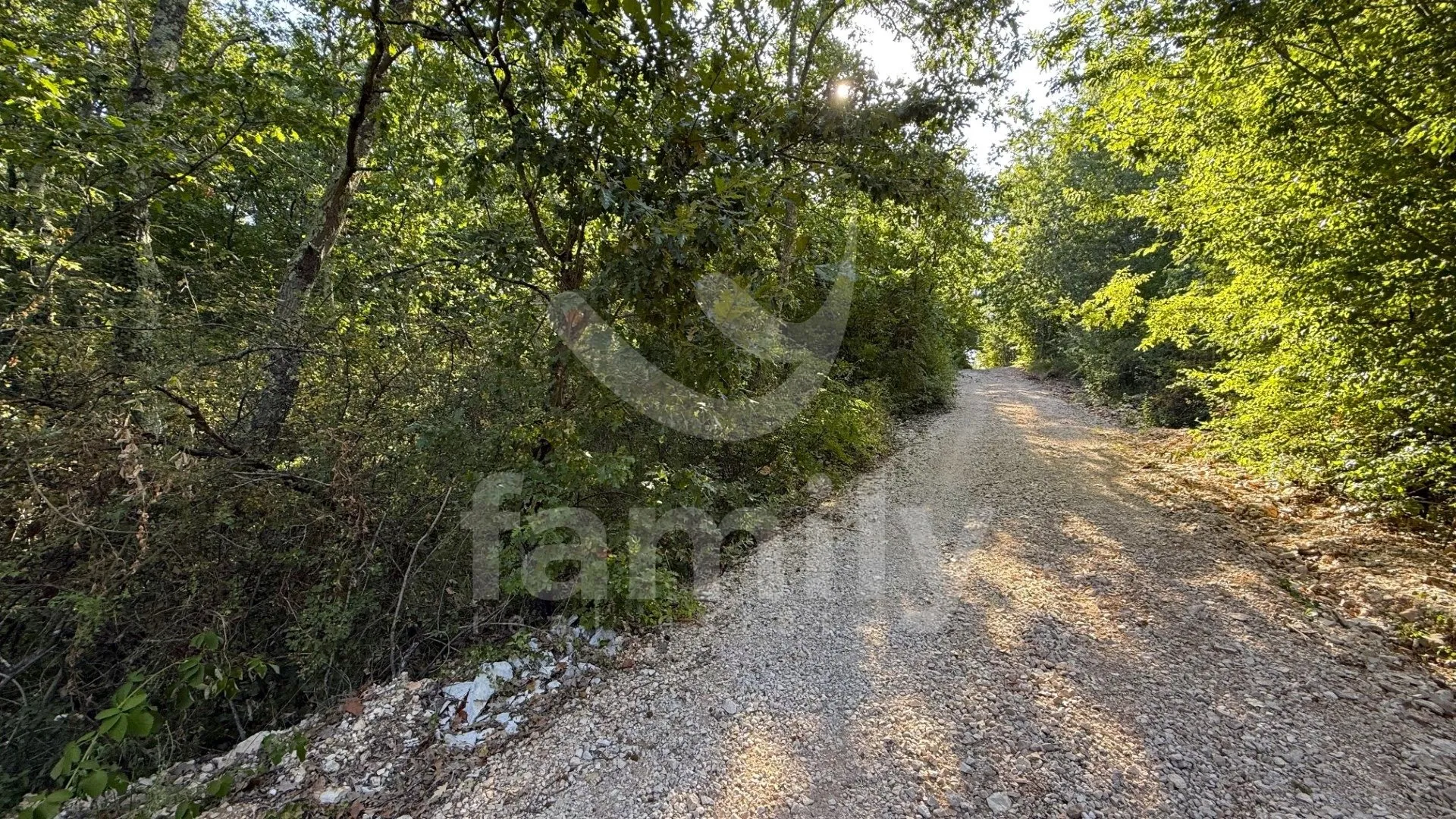 prodaja poljoprivredno zemljište šuma vodnjan - slika 5