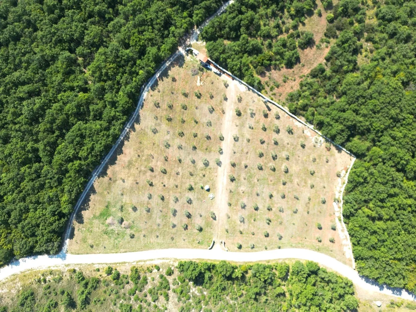 prostrano zemljište sa maslinikom, voćkama i vodom na parceli - slika 3