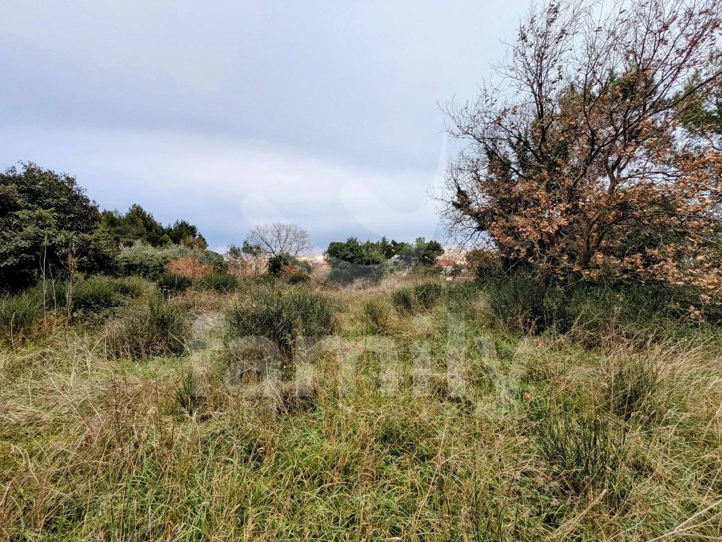 prodaja građevinskog zemljišta na atraktivnoj lokaciji - slika 14