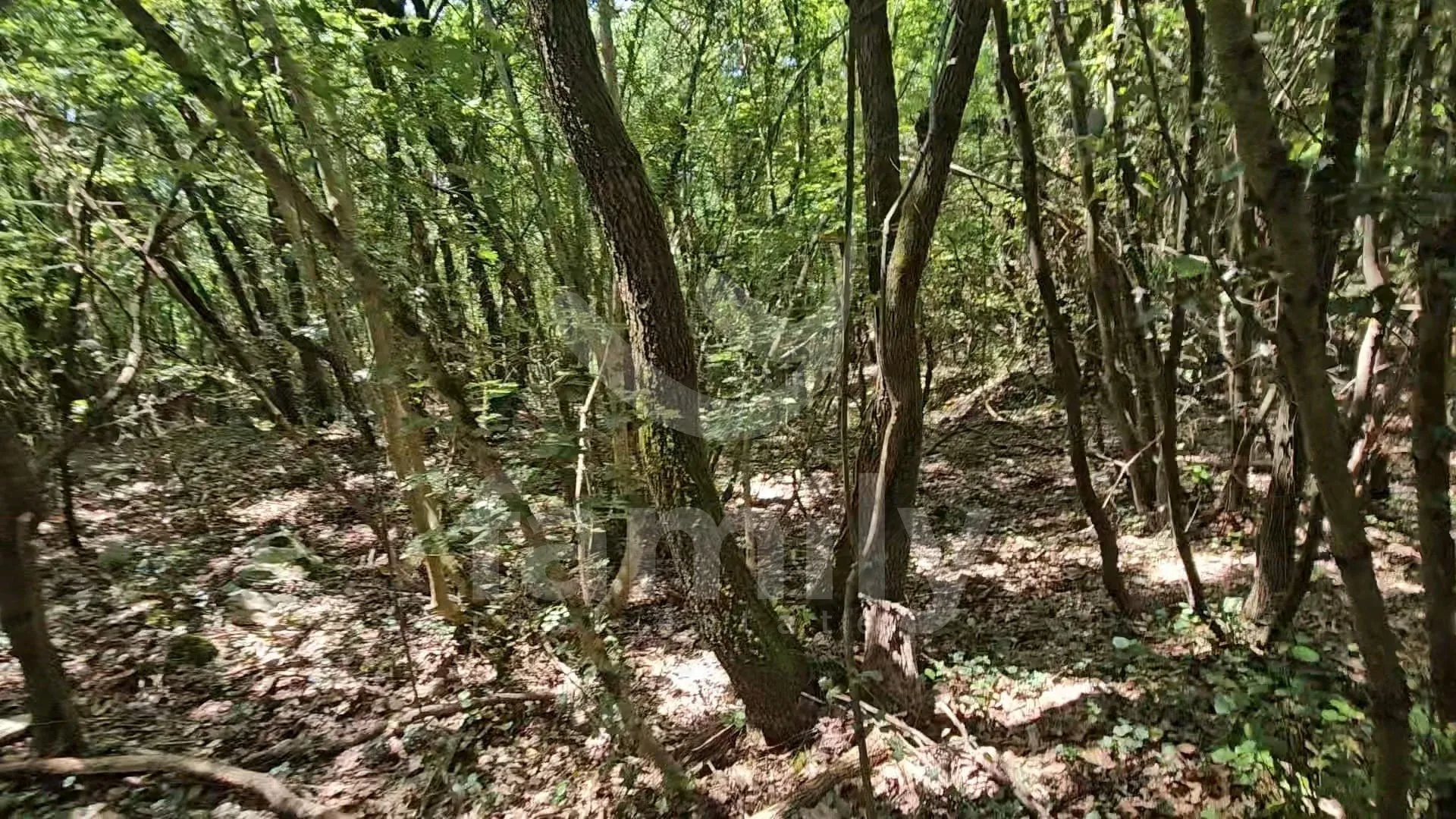 prodaja prostranog poljoprivrednog zemljišta u krnici - slika 6