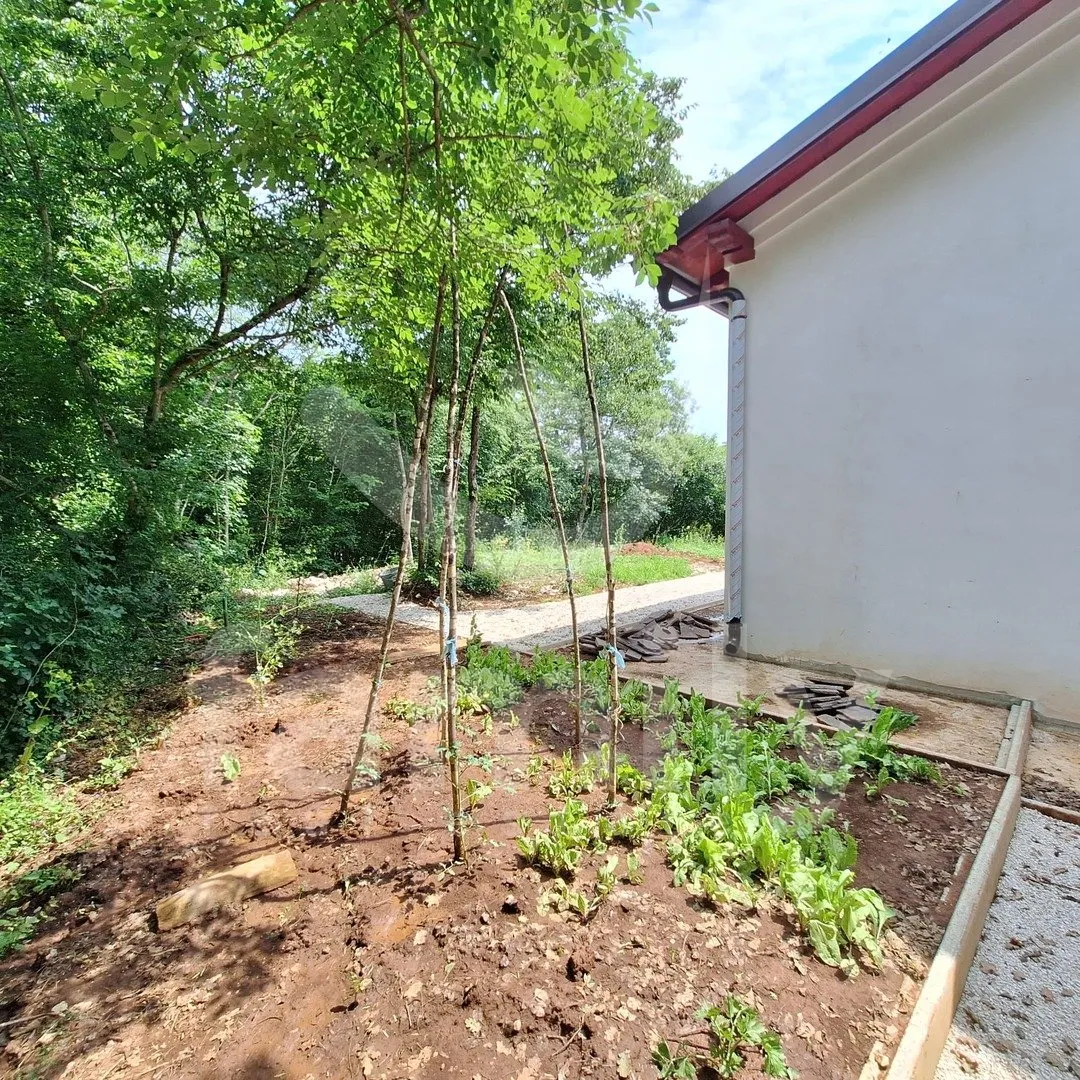 nova samostojeća prizemnica okružena prirodom - slika 15