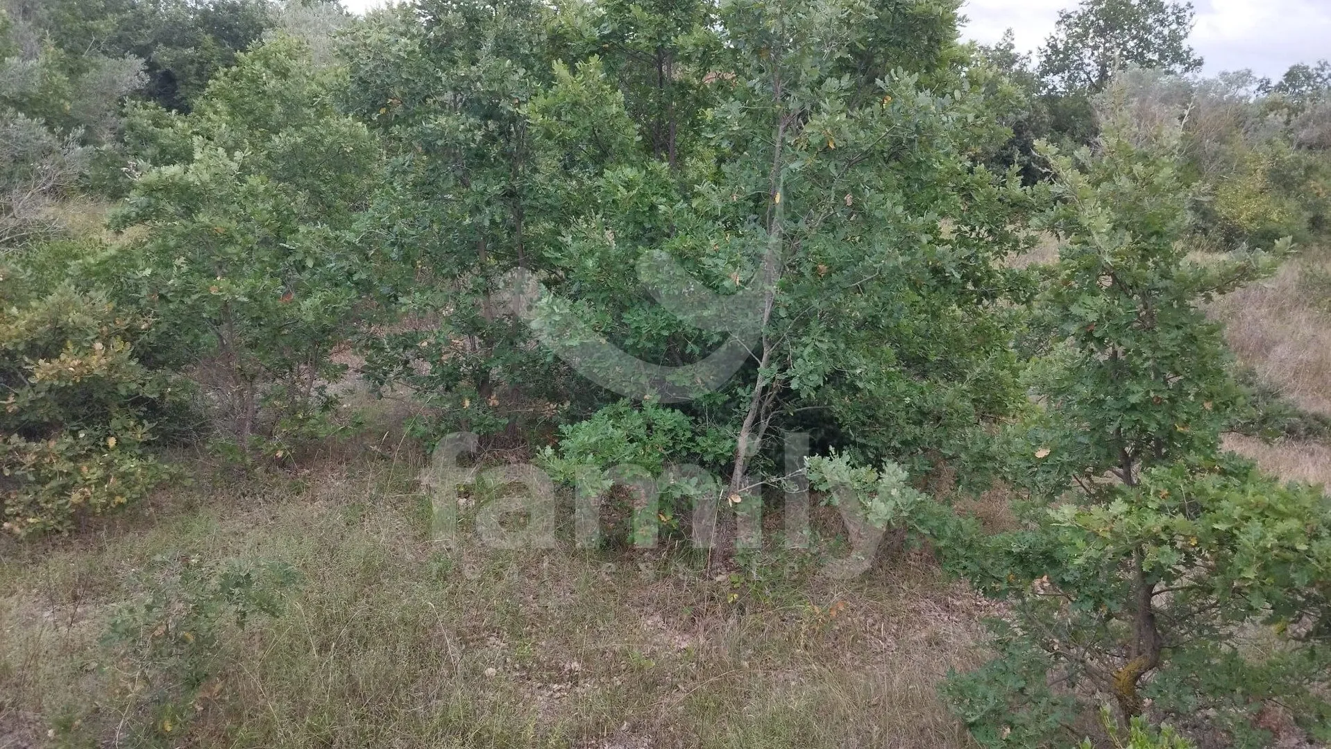 poljoprivredna parcela na brdašcu - slika 4