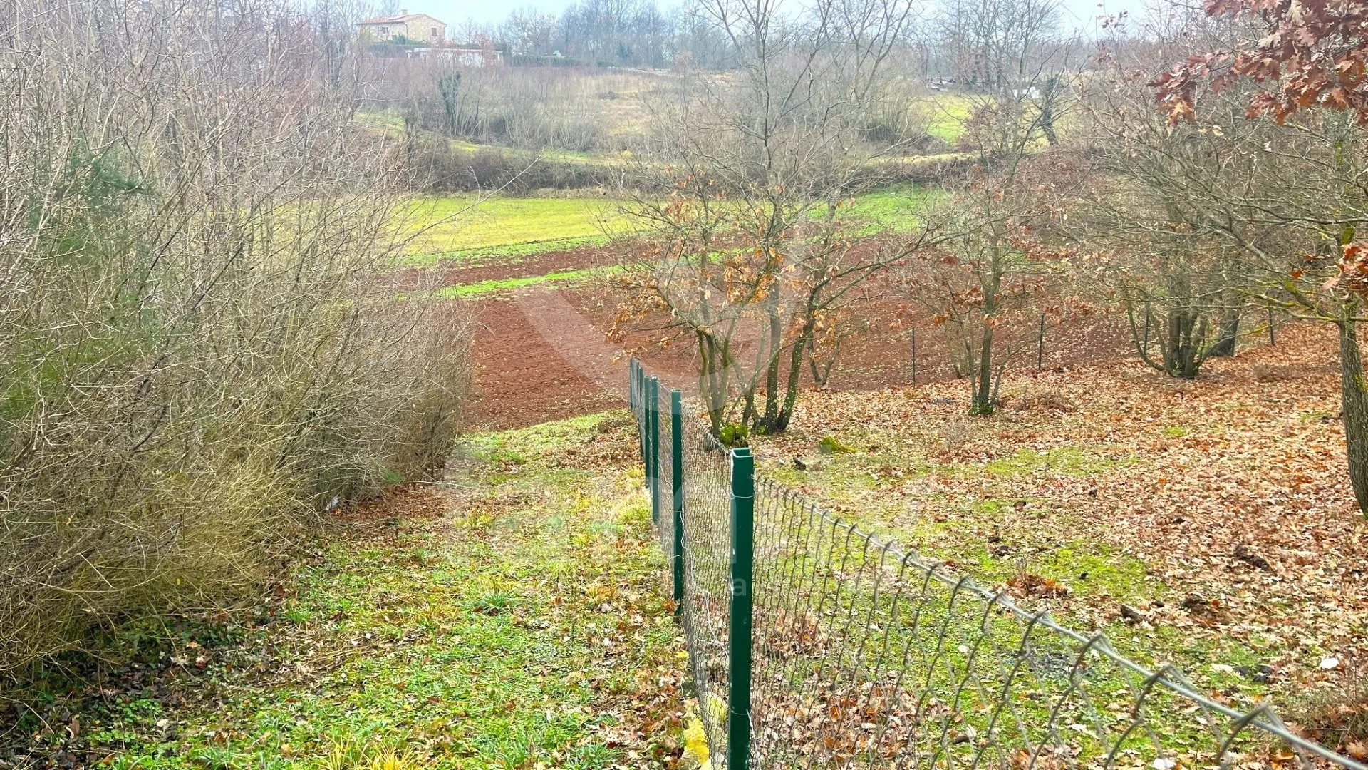 Ekskluzivno - Zemljište U Svetvinčentu - Svetvinčenat