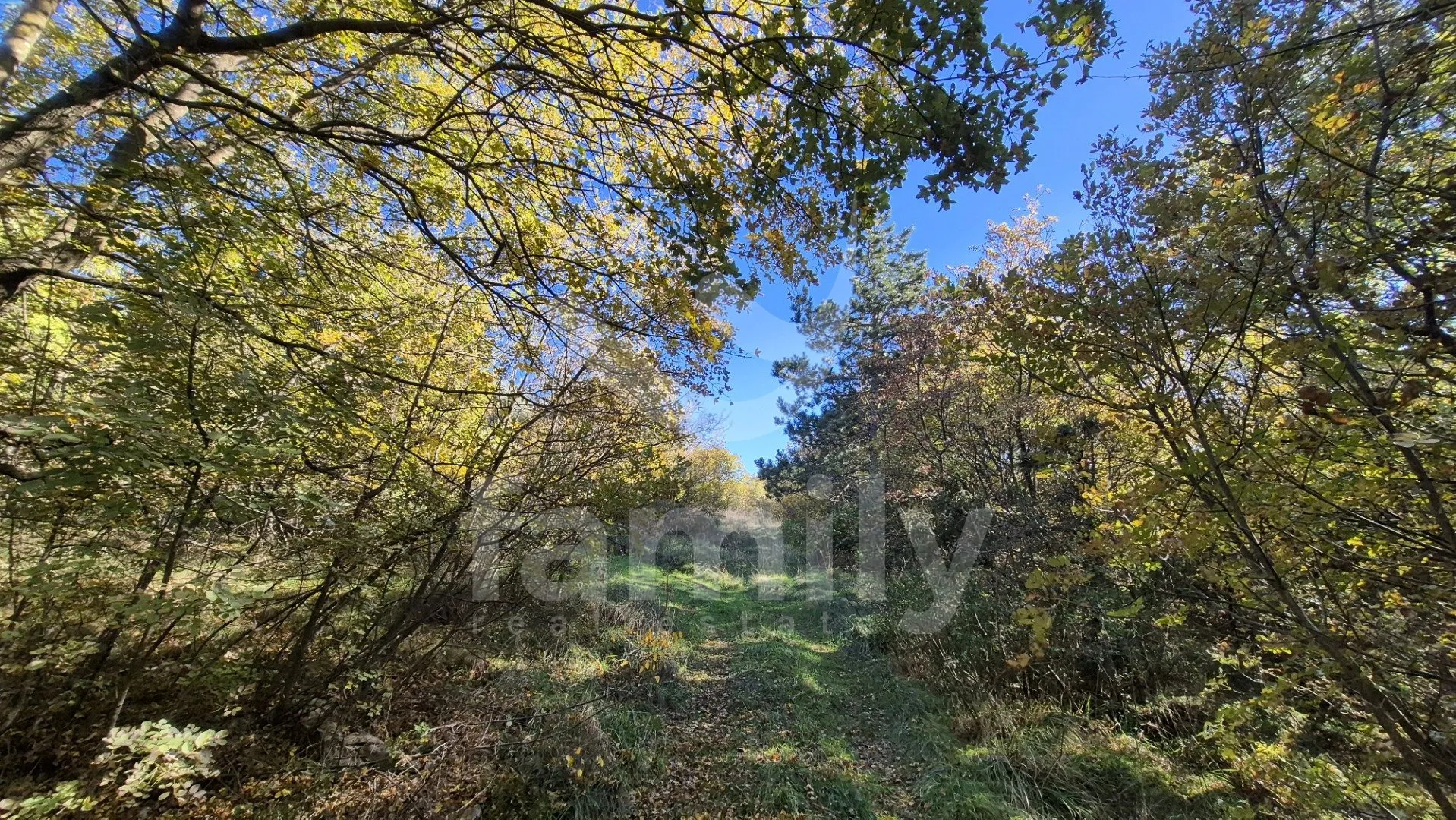 Zemljište Na Mirnoj Lokaciji - Trget, Raša