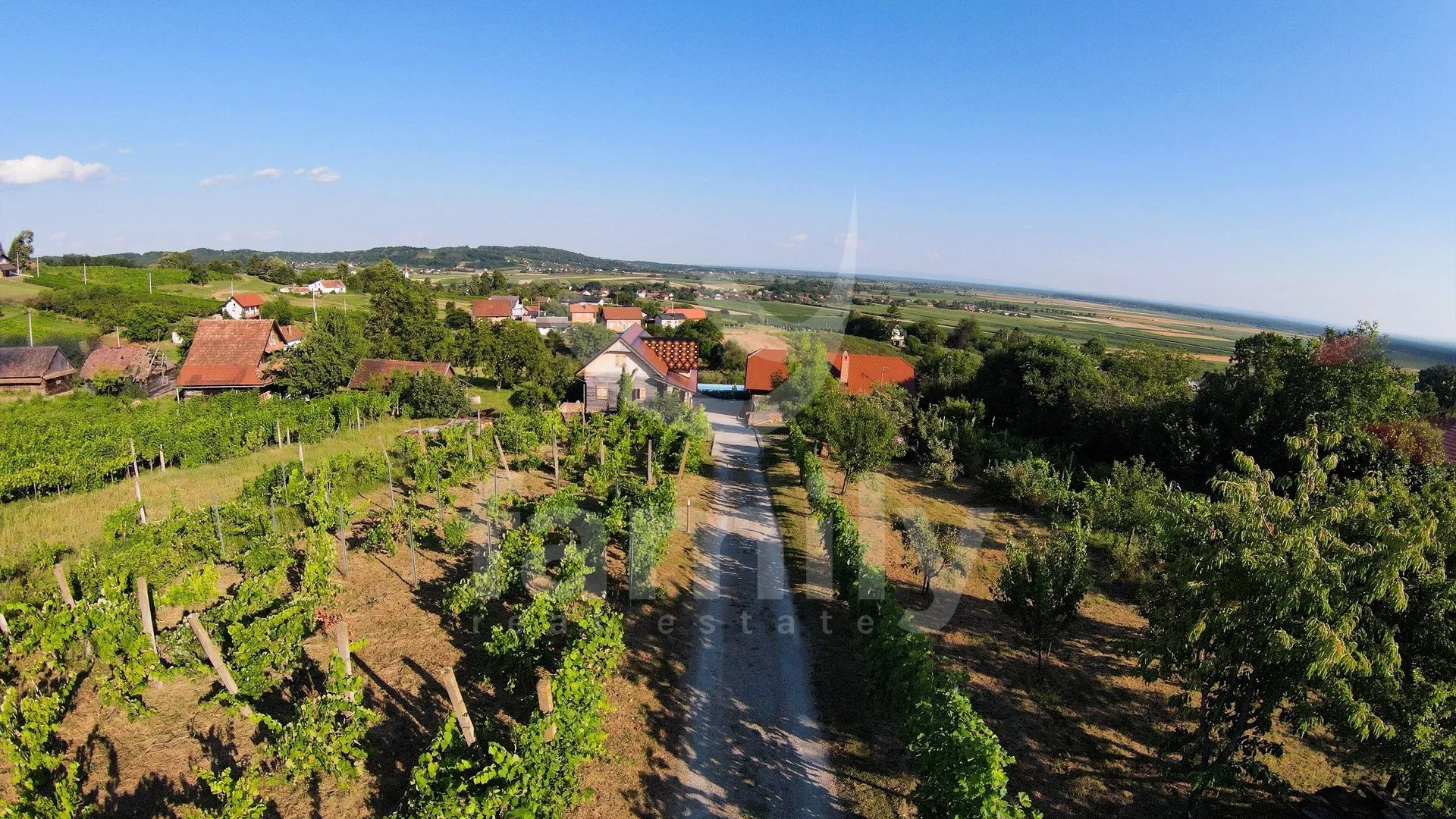 dvije hrastove kuće, bazen, vinograd i voćnjak - slika 16