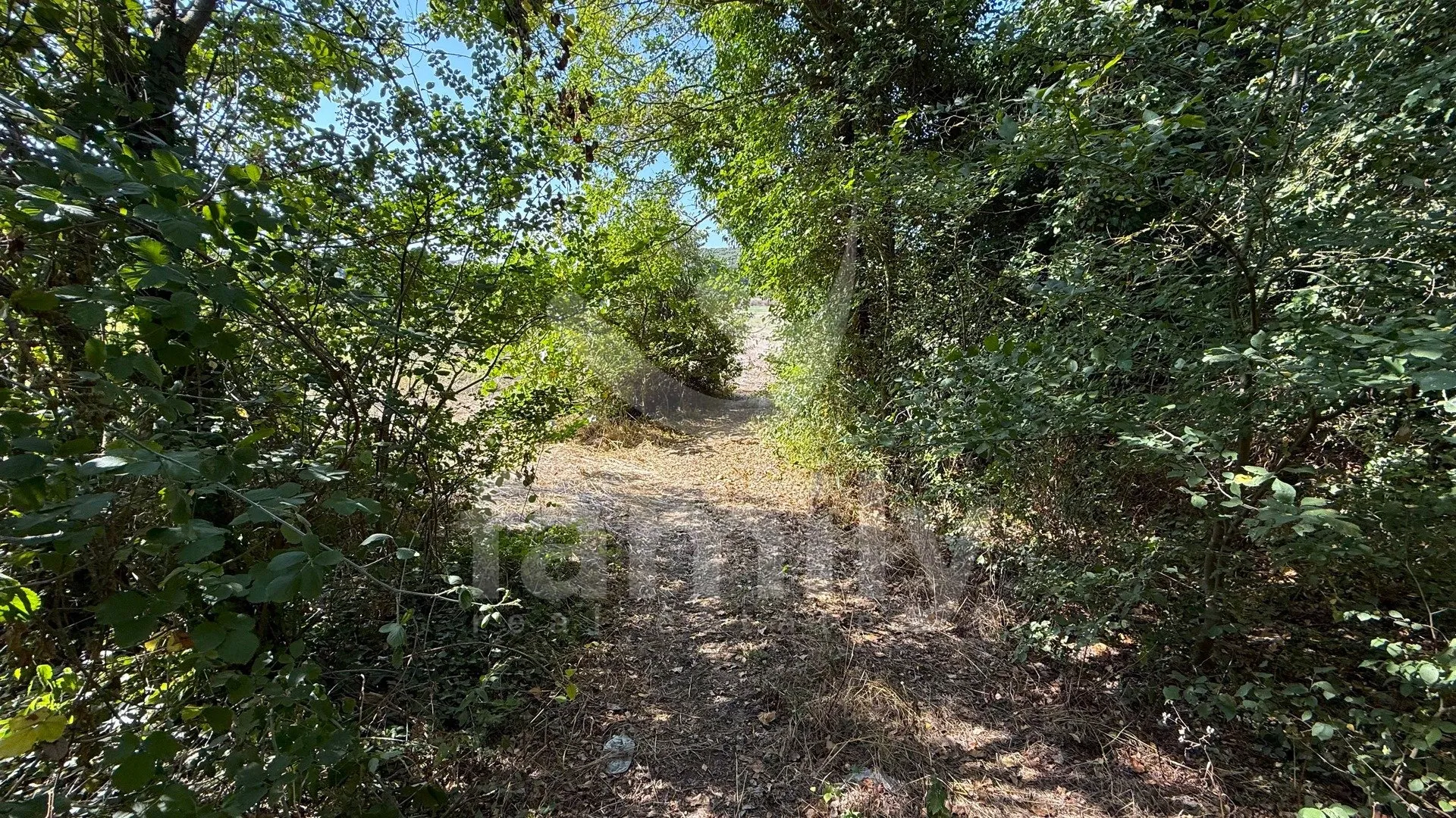 ekskluzivna prodaja poljoprivredno zemljište vintijan medulin - slika 4