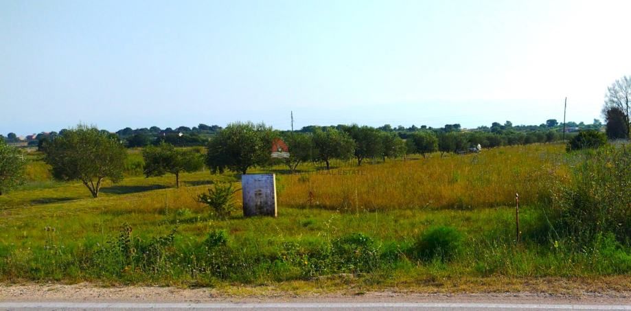 zemunik donji - građevinsko zemljište 3223m2 - slika 2