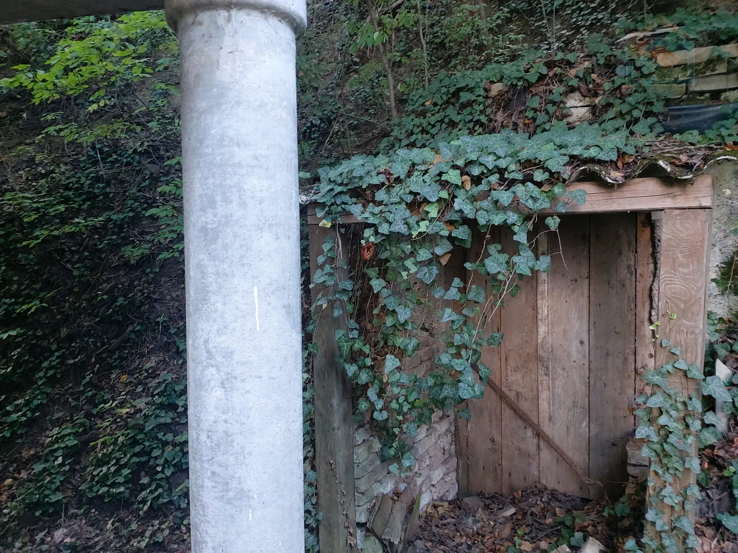 kuća za odmor sa šumom i voćnjakom - slika 4