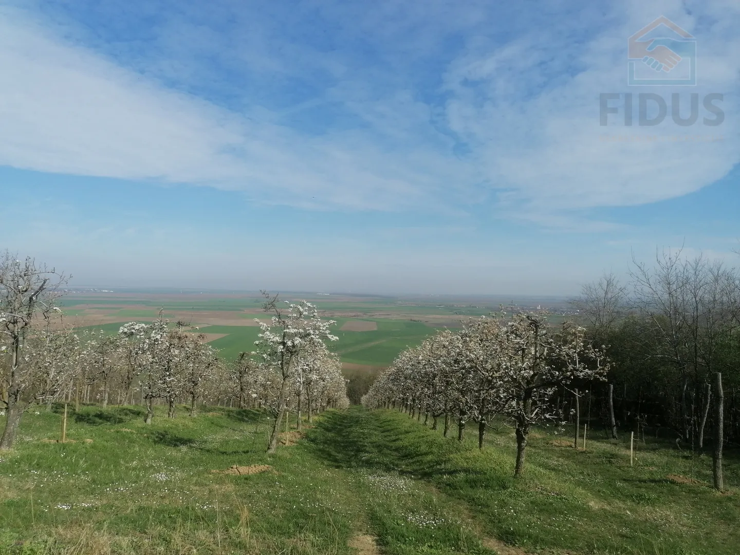 obiteljsko imanje - popovac/baranja - slika 20