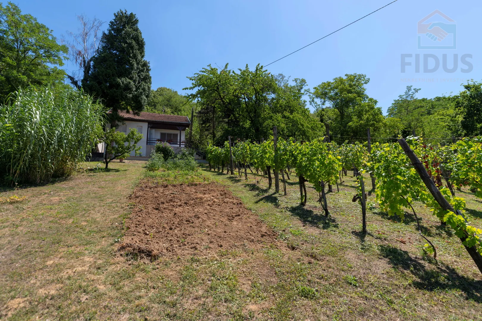 obiteljsko imanje - popovac/baranja - slika 6