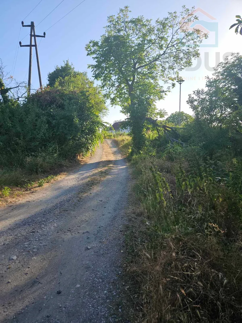 batina - vikendicom s gatorom - slika 4