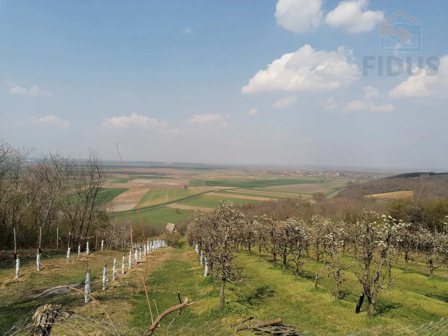obiteljsko imanje - popovac/baranja - slika 10