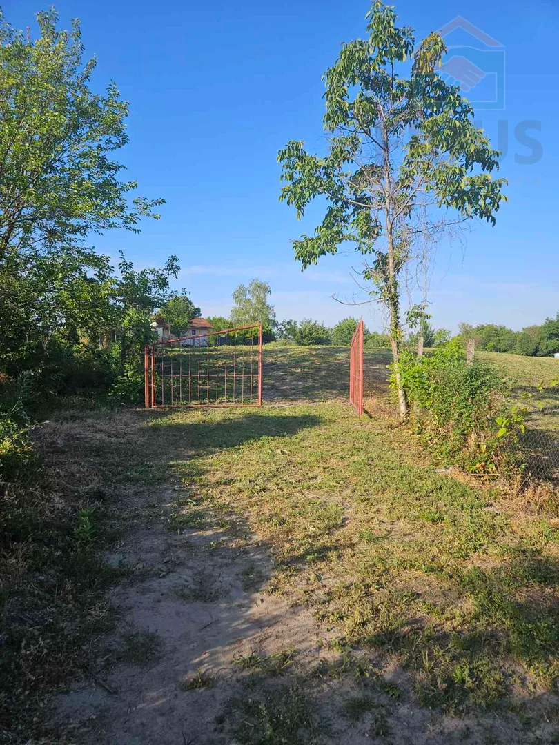 Batina - voćnjak - Batina, Draž